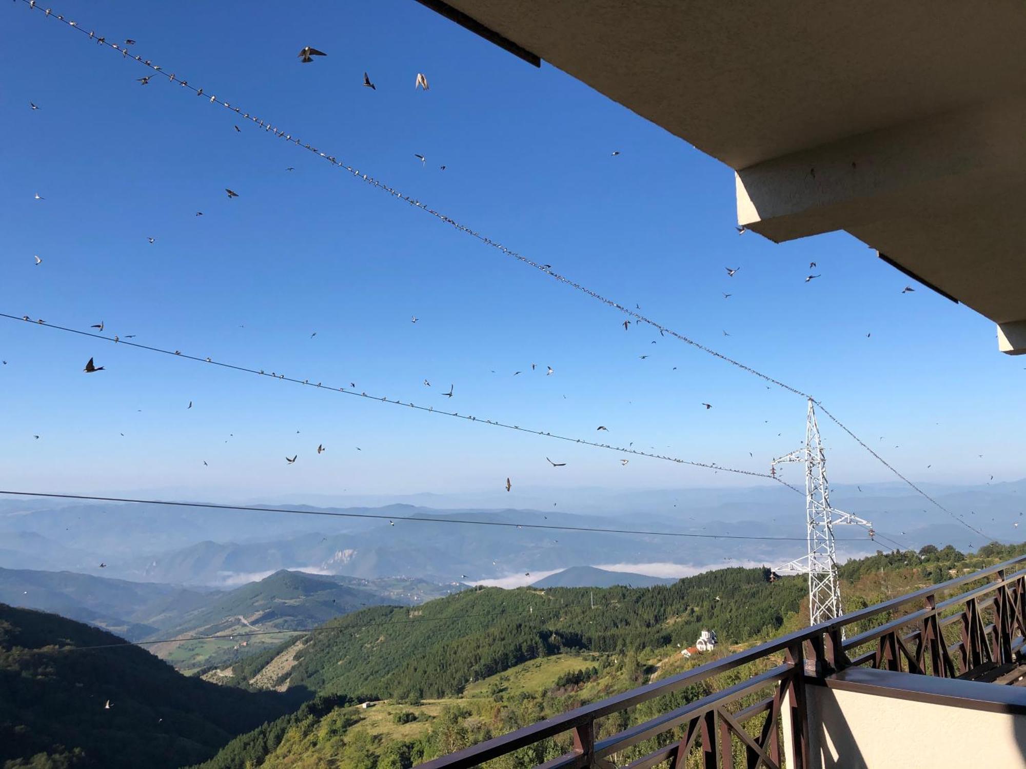 Appartement Milmari M12 à Kopaonik Extérieur photo